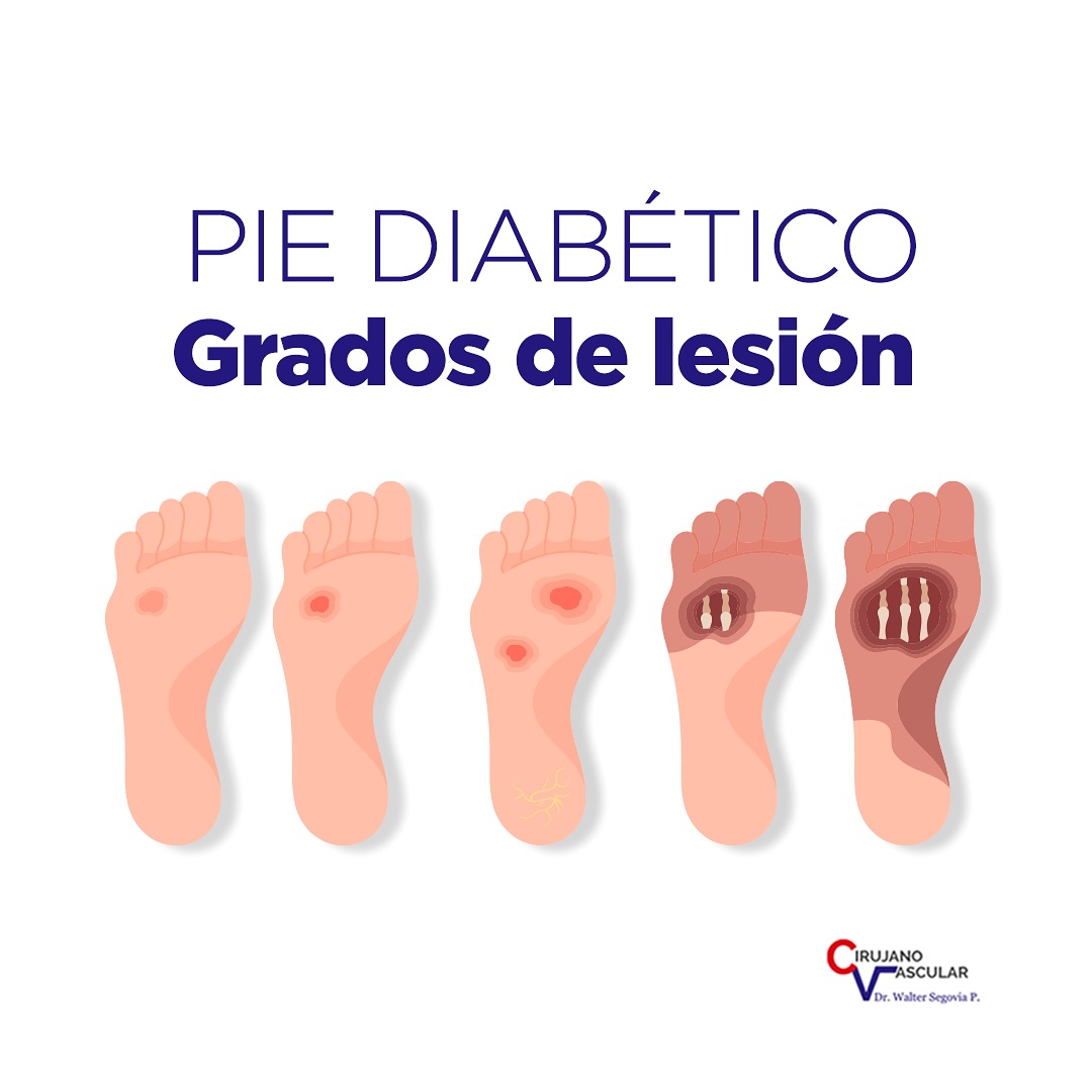 Imagen 002