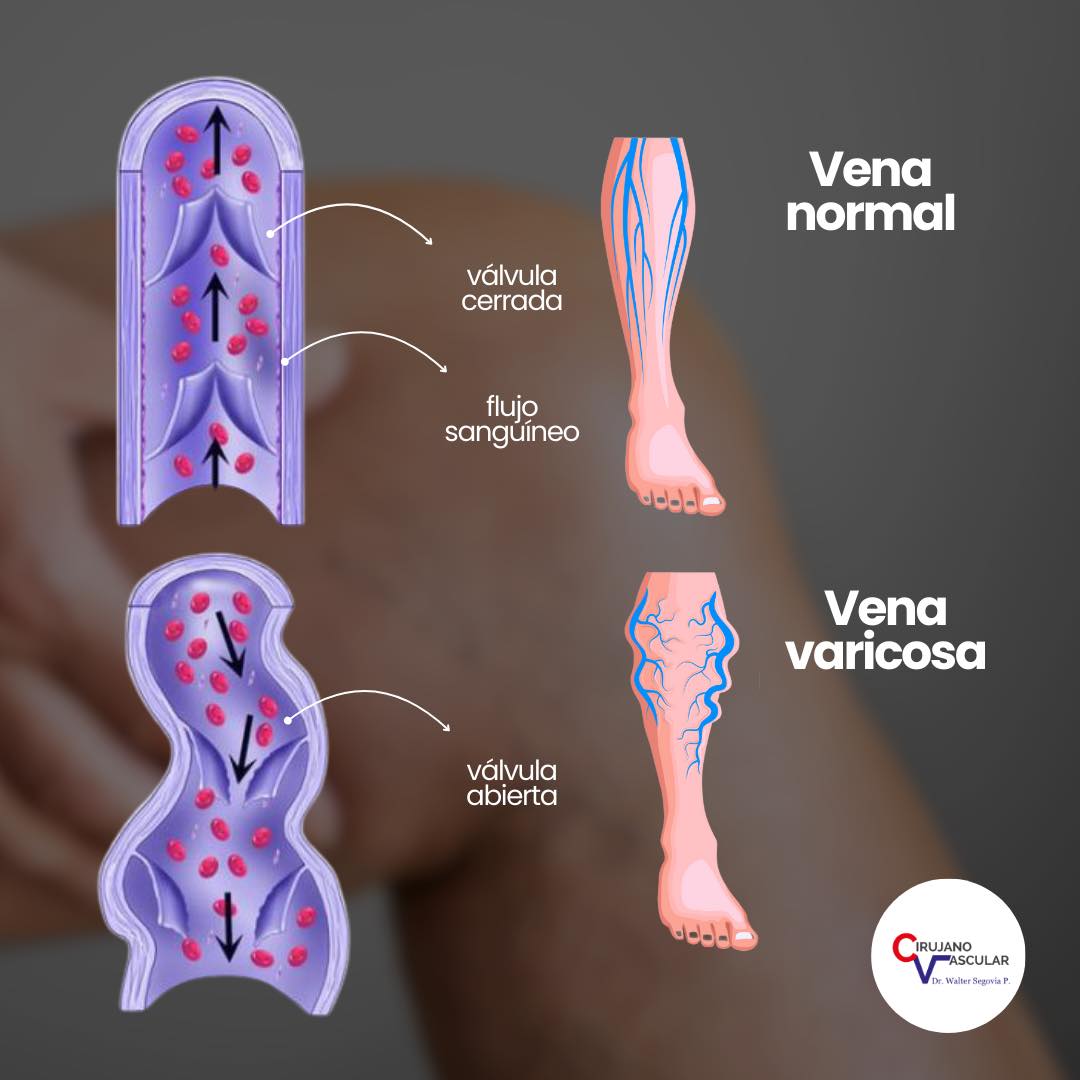Imagen 003