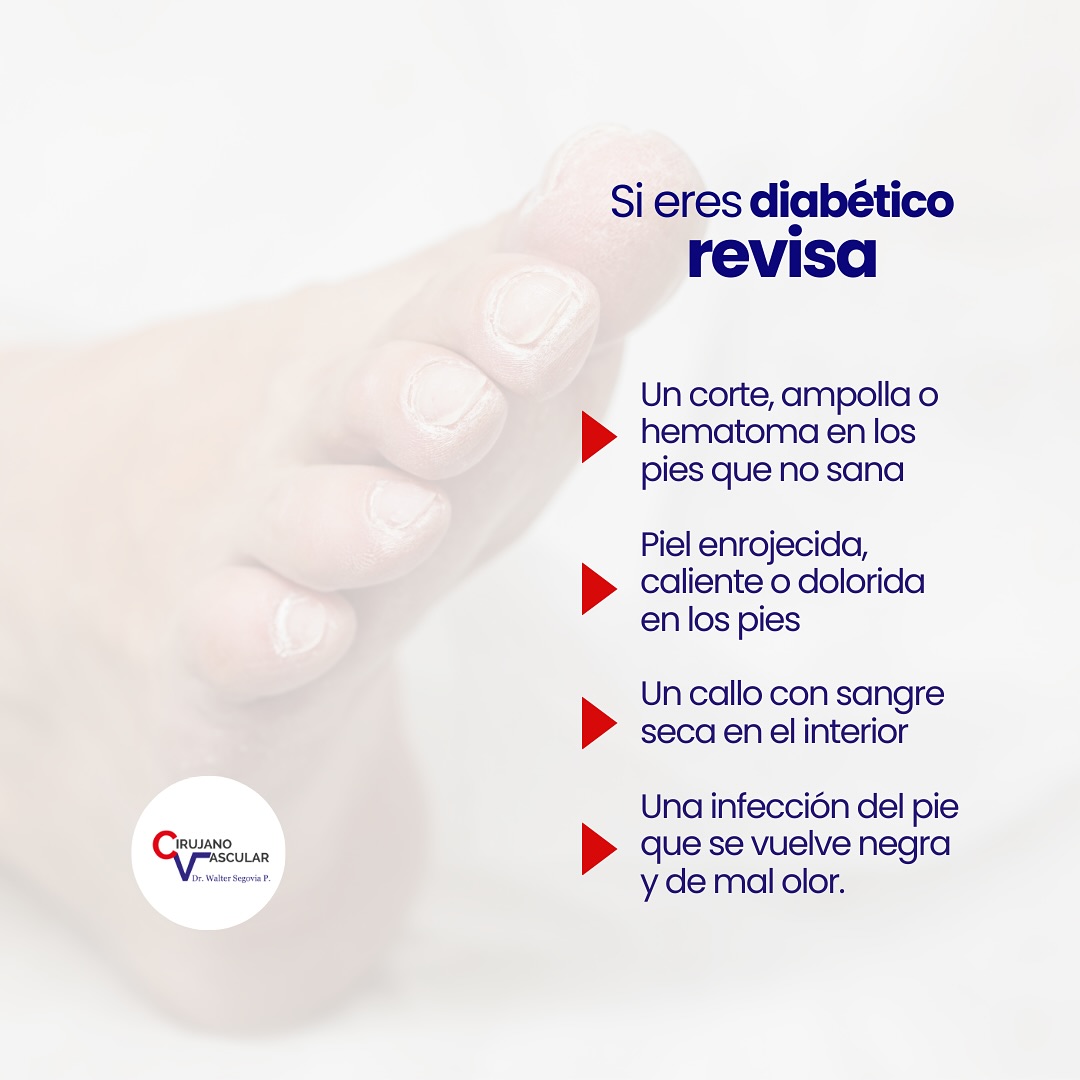 Imagen 004