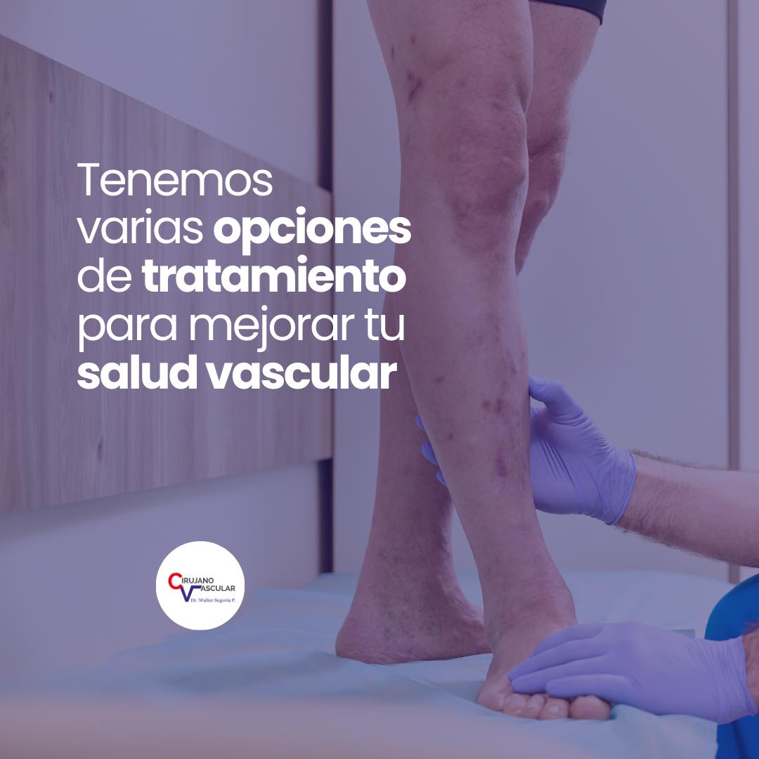 Imagen 008