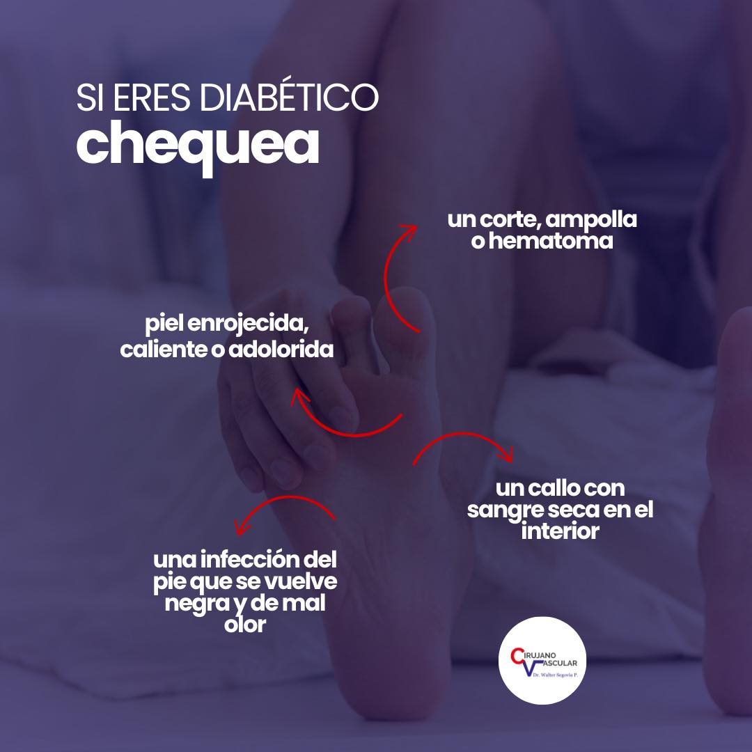 Imagen 012