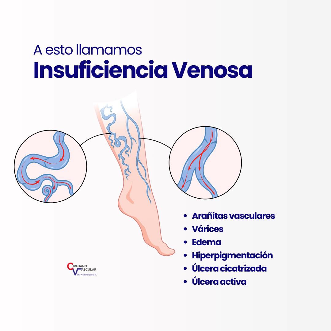 Imagen 013