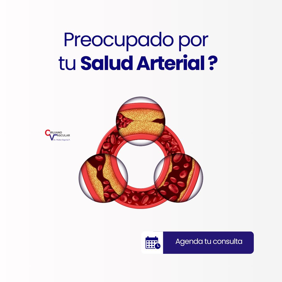 Imagen 014