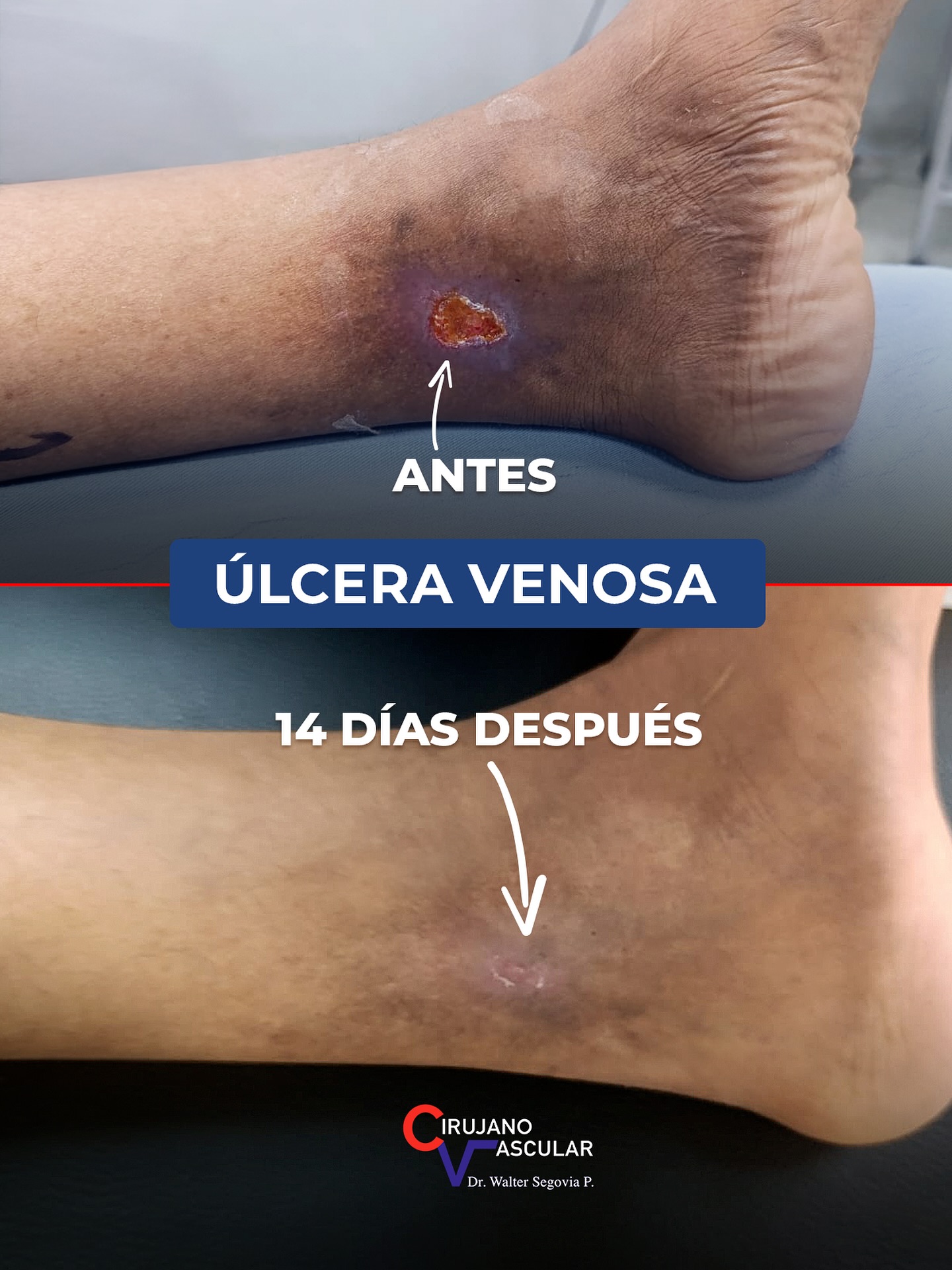 Imagen 015